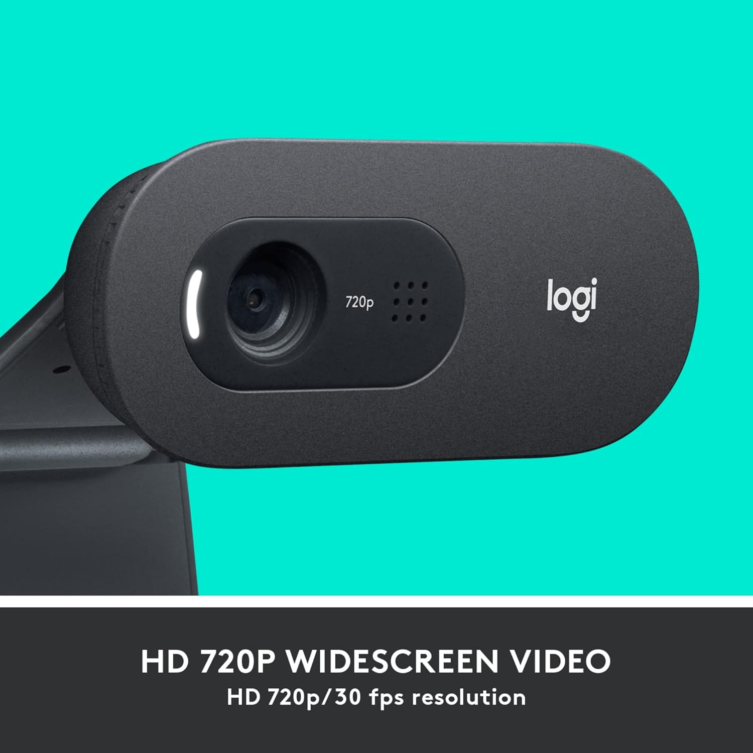 Logitech C505 HD Webcam - 720P HD USB Webcam for Desktop and Laptop with Long Range Microphone, Compatible with PC, Mac or Chromebook - Grey Black